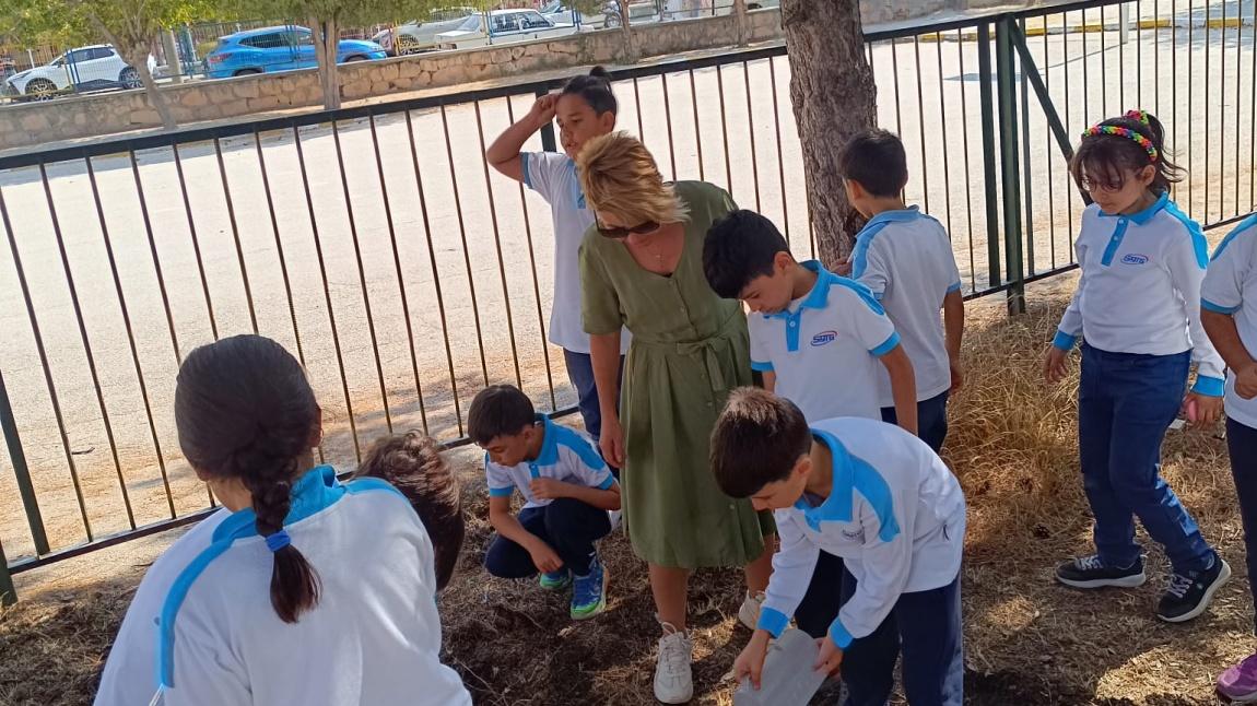 Bahçemizde Lavanta Kokuları 